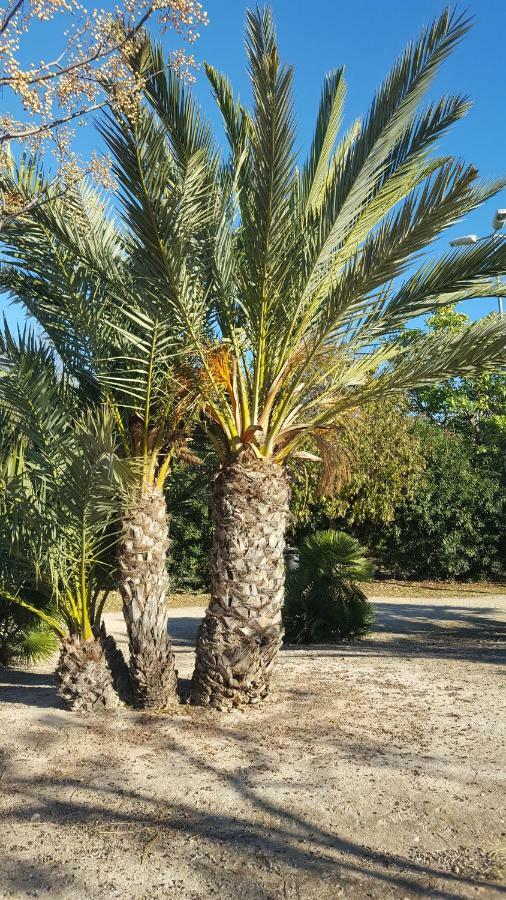 Sol Y Playa En San Juan Alicante Zewnętrze zdjęcie
