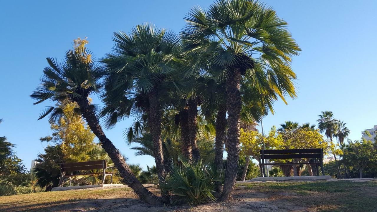 Sol Y Playa En San Juan Alicante Zewnętrze zdjęcie